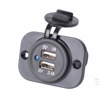 Розетка с двумя USB разъемами DS2213